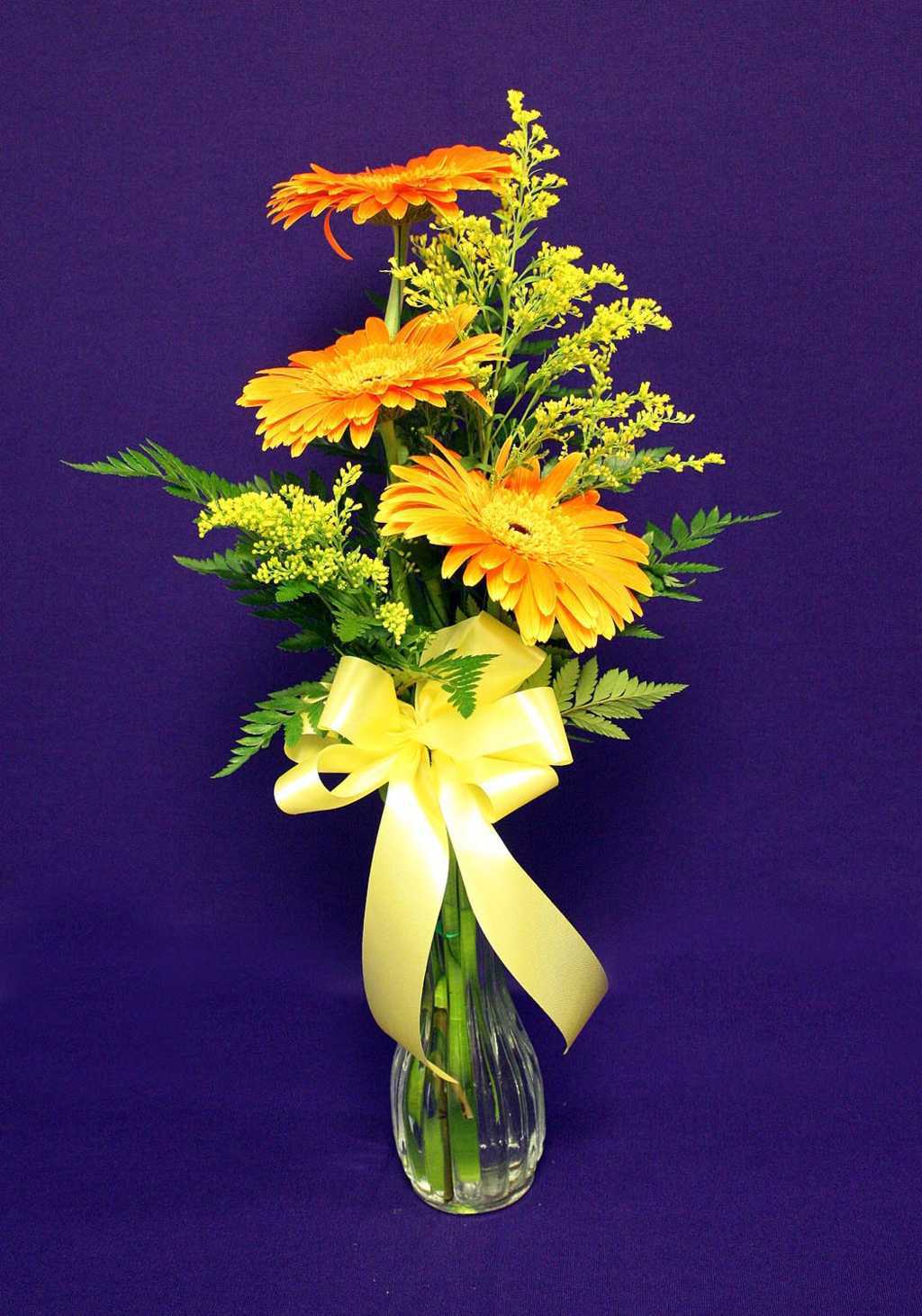  Orange Flower with Yellow Ribbon Flower Arrangement from Mon General Hospital Gift Shop